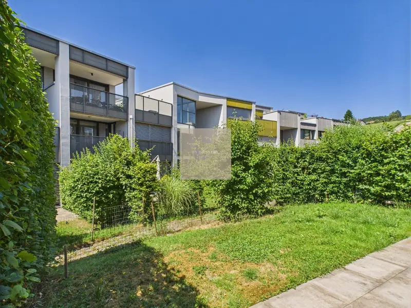 Lawn and hedge in the garden, with the row of terraced houses in the background