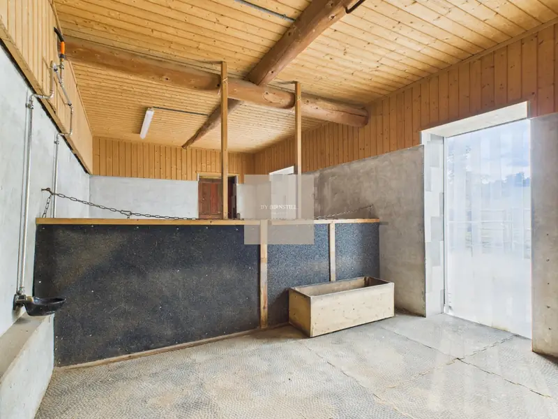 Horse box with water trough and wooden ceiling in the stable of the let maisonette in Unterkulm